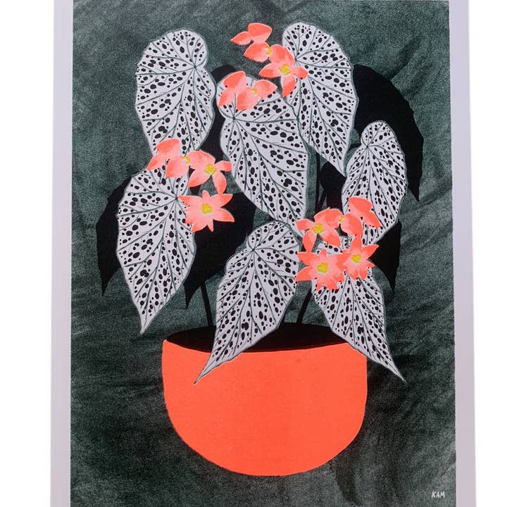Risodruk - Begonia Neon 8,5x11 voor wholesale door StitchPrism