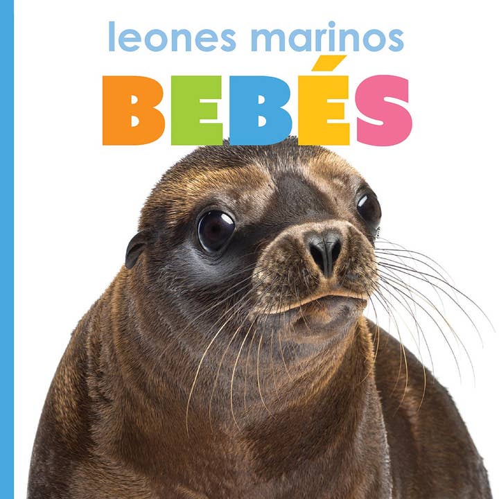 The Creative Company - Wholesale Preschool Book (3-5) - El principio de los: leones marinos bebés2