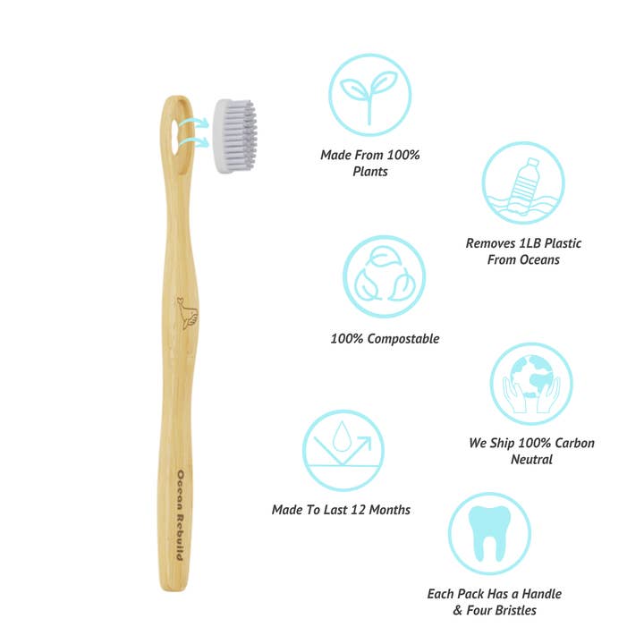 ReFresh 4 in 1 Bamboo Toothbrush With Removable Bristles and other Purchase Wholesale personalized toothbrushes. Free Returns & Net 60 Terms on Faire trending on Faire.
