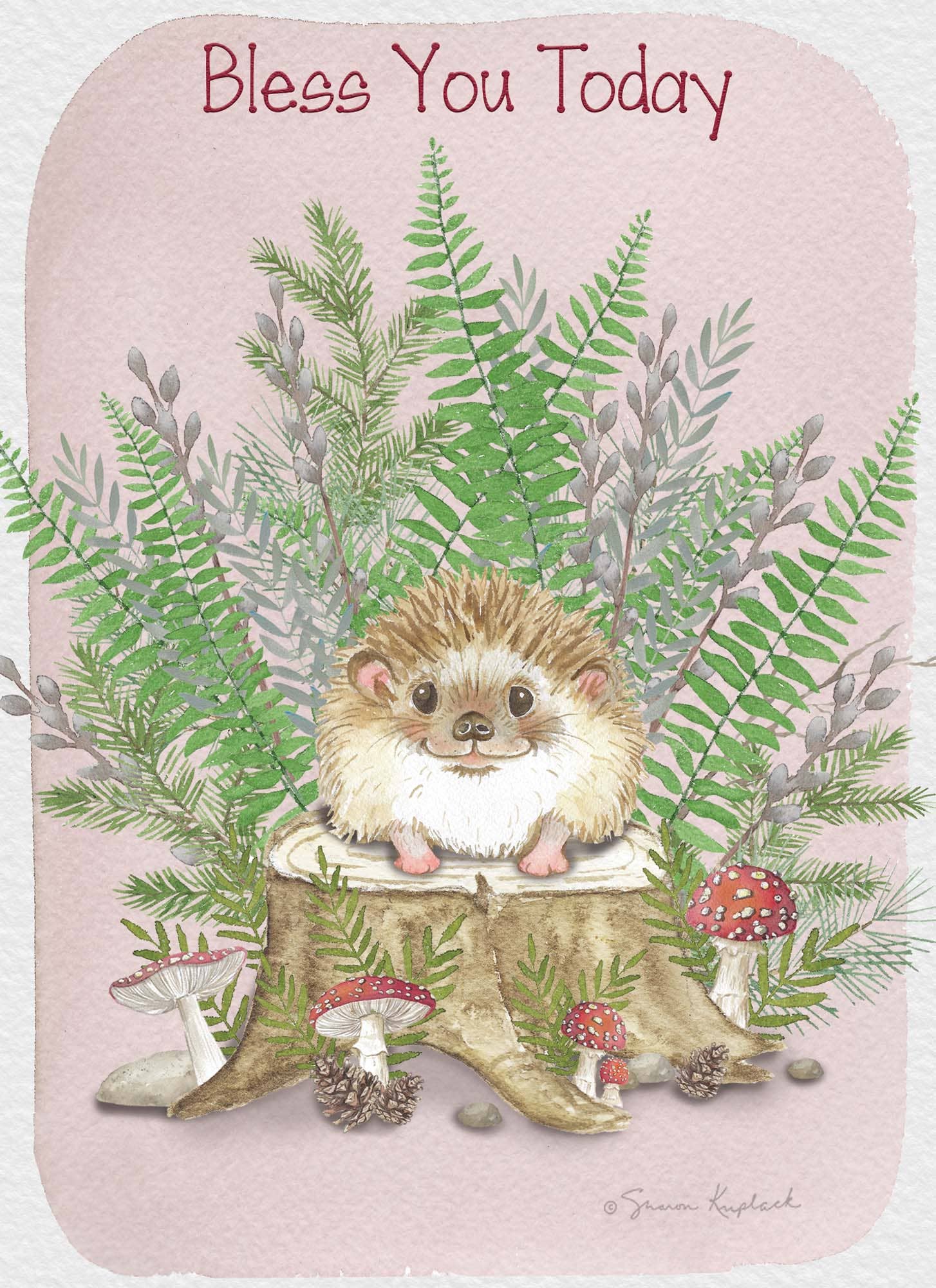 Crown Point Graphics - Wholesale Birthday Card - Celebrations -  48 Assorted Birthday Cards by Shared Blessings38