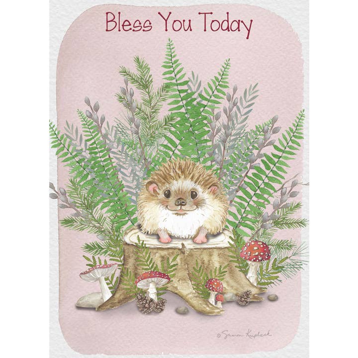 Crown Point Graphics - Wholesale Birthday Card - Celebrations - 48 Assorted Birthday Cards by Shared Blessings38