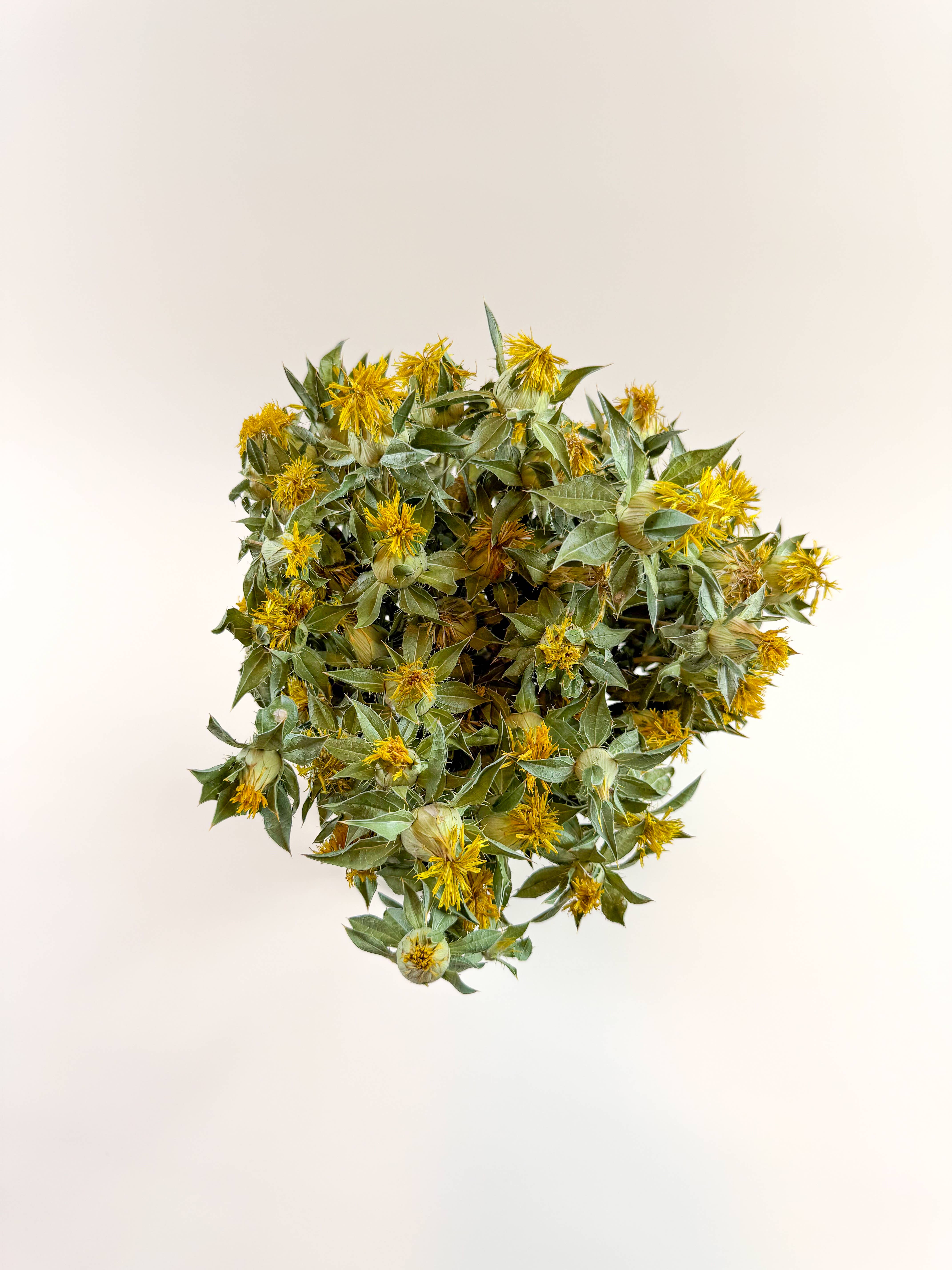 Lovejoy Farms Premium Dried Flowers – wholesale Dried/pressed flowers – Safflower - Yellow Naturally Dried Flowers 1