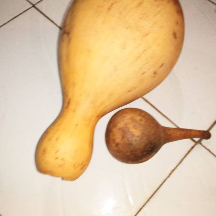 Delight merchants - Wholesale Decorative Tabletop Object - Traditional calabash with a baby calabash from Kenya