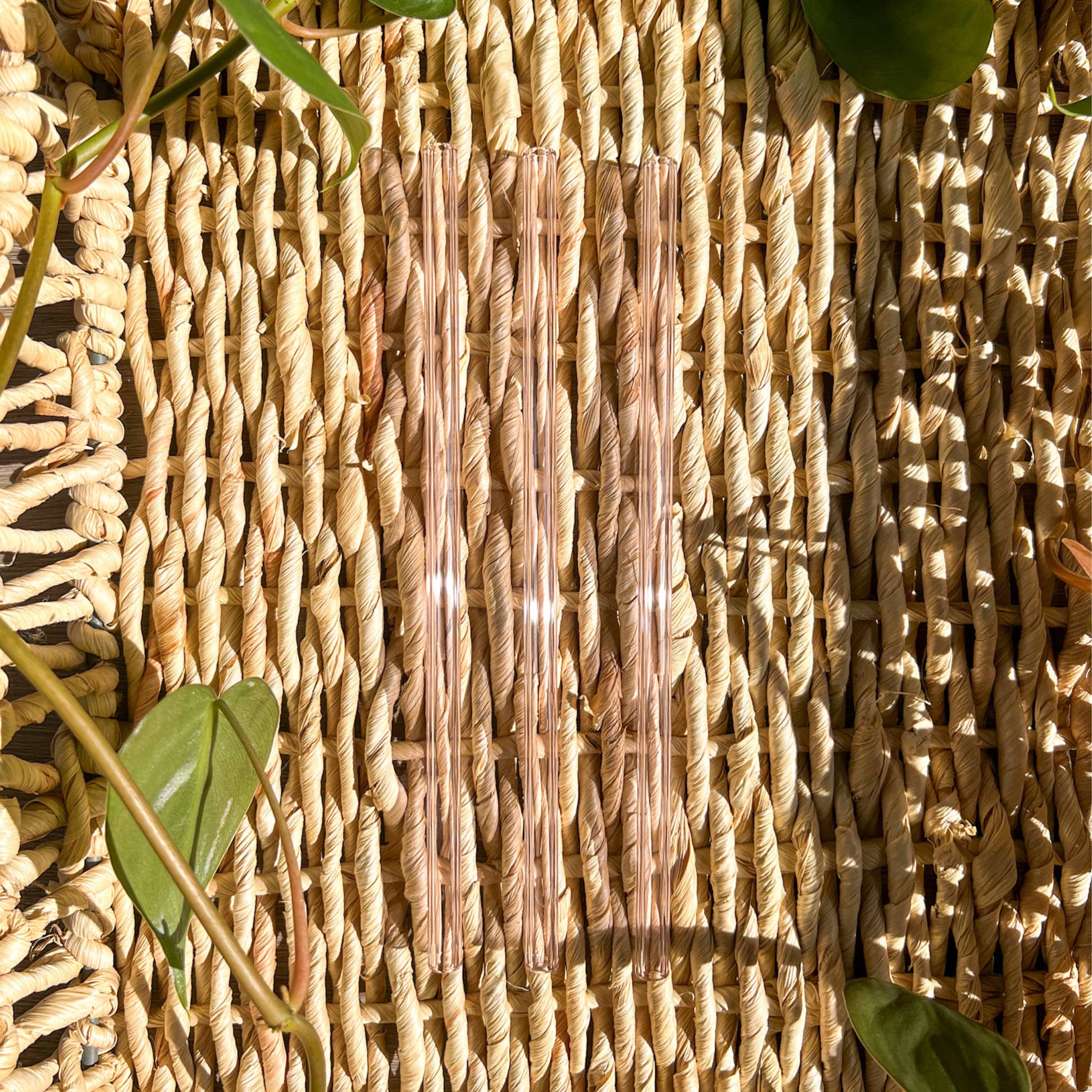 Emily Paige Company – wholesale Sugrör – Rosa rak återanvändbart glas dricka halm