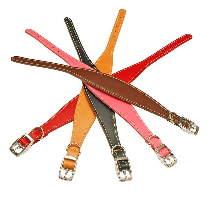 Tailored Pet Ltd - Wholesale Pet collar – Dog - Whippet Collar Padded