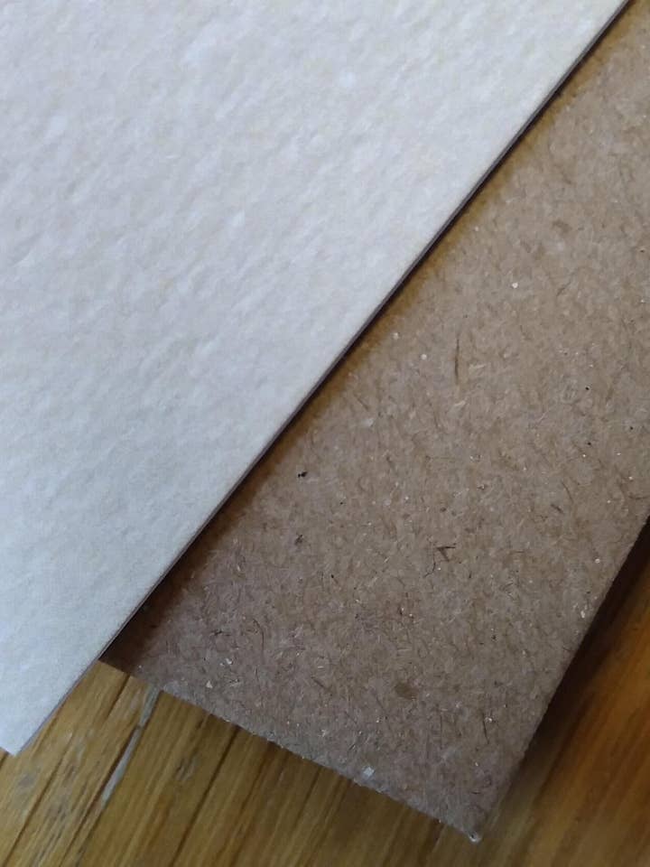 Cute Dog Card — Sorry — Weißer Hund mit Zeitung für den Großhandel von Paper Shed Design Ltd