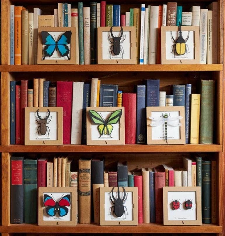 「FUNJI」In Japan - Wholesale DIY Craft Kit - DIY 3D Origami Butterfly Craft Kit - Japanese Art6