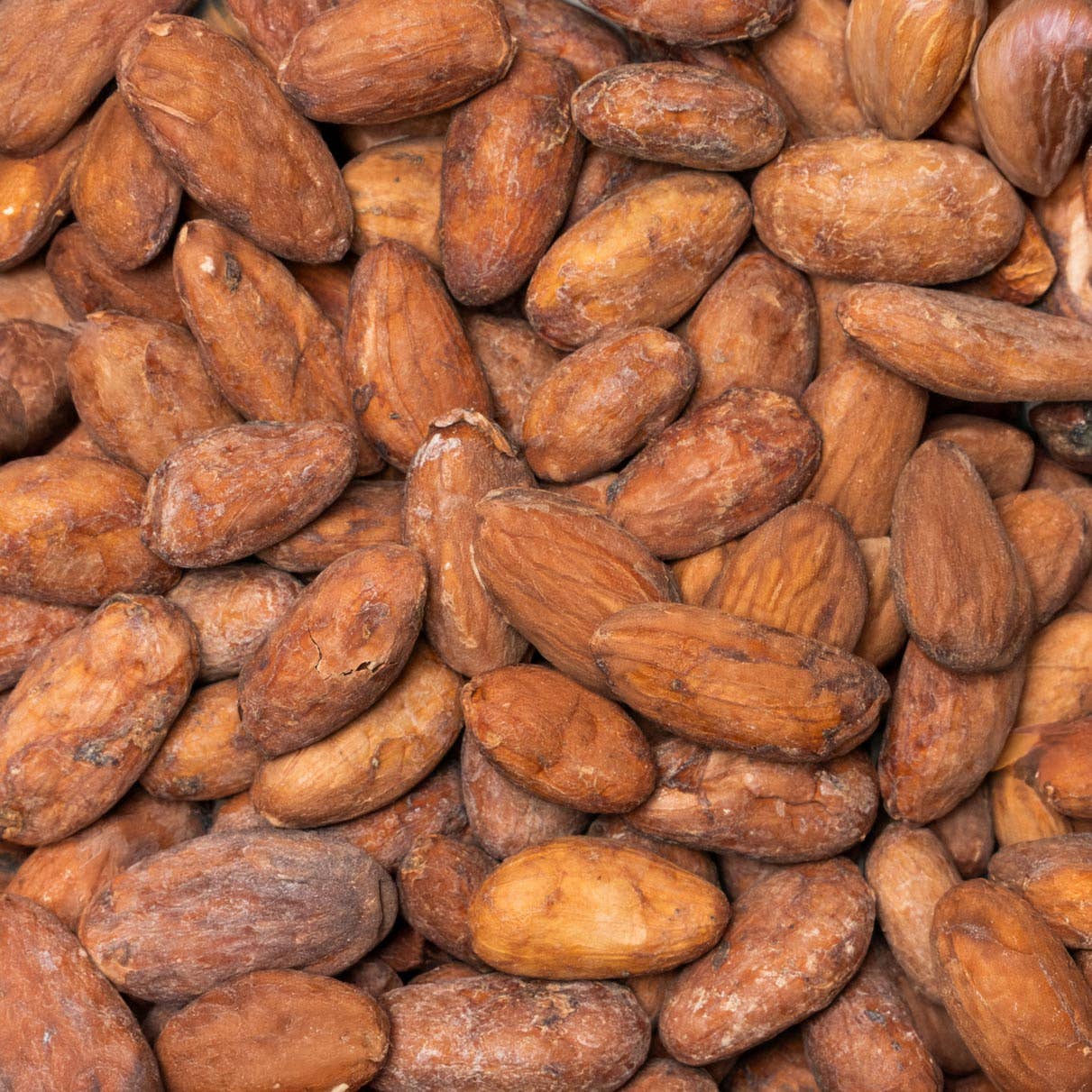 KAICAO - Wholesale Hot Cocoa Mix/Kit - Mexican Spicy Ceremonial Cacao- A Blend of Ceremonial Cacao, Chilis & Spices. Washed Cacao Beans, Tabasco, Mexico2