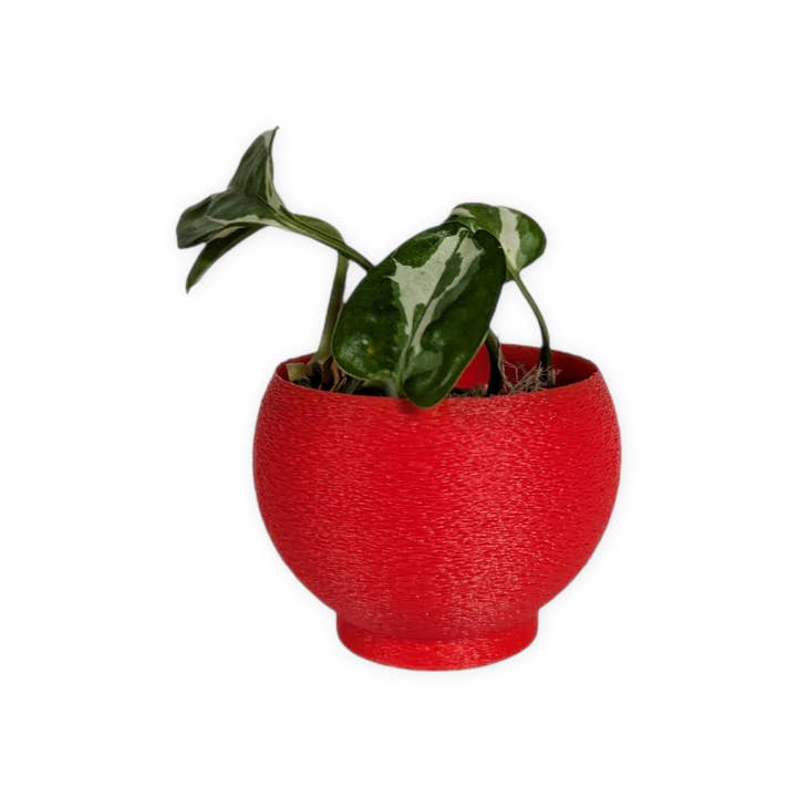 Leafprints.3d - Wholesale Plant Pot - The Petal – 2 Inch Cover Pot (No Drainage)21