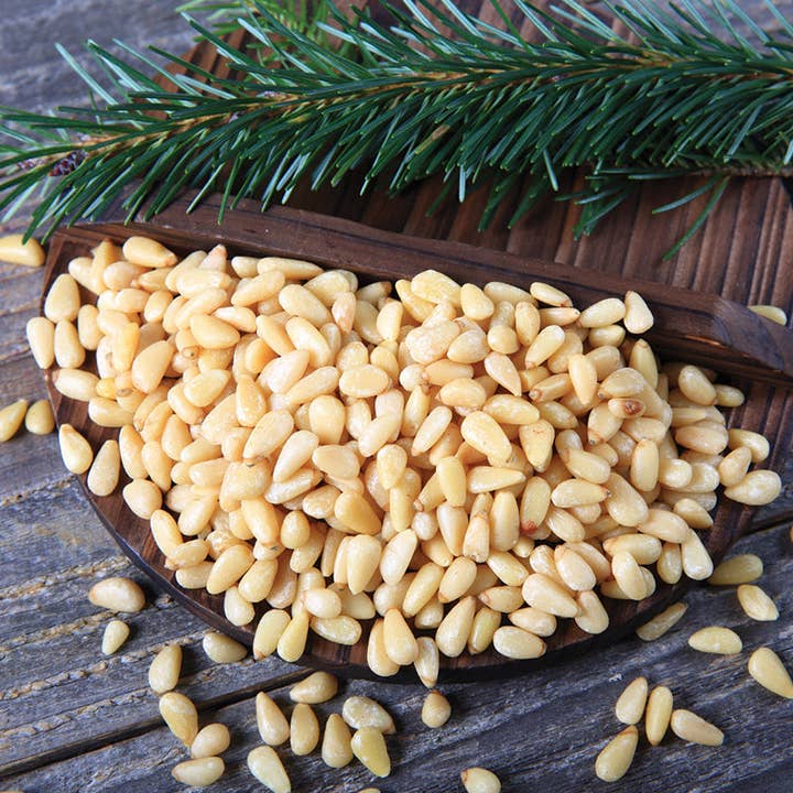 Burke's Naturals - Wholesale Nuts - Pine Nuts - Pignolias2