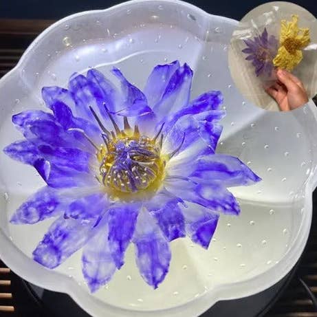 The Grateful Tea Co - Wholesale Loose Tea - Dried Yellow or Blue Lotus Flowers, 5 Whole Flowers