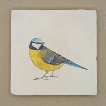 Tegel - Pimpelmees voor wholesale door moreydesign | ask a duck