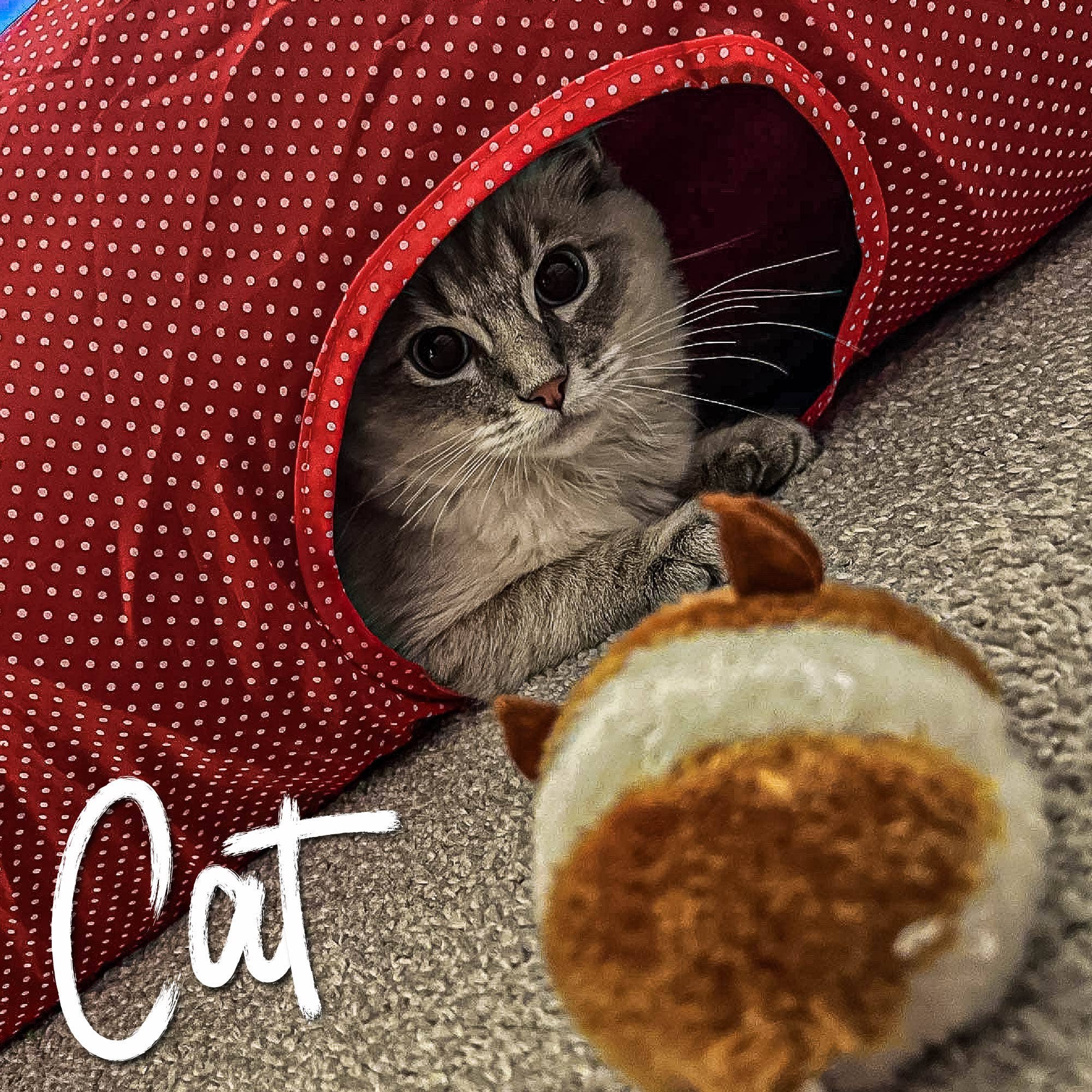 Ancol Pet Products Ltd - Wholesale Pet Toy - Cat - Jittery Mouse Cat Toy1