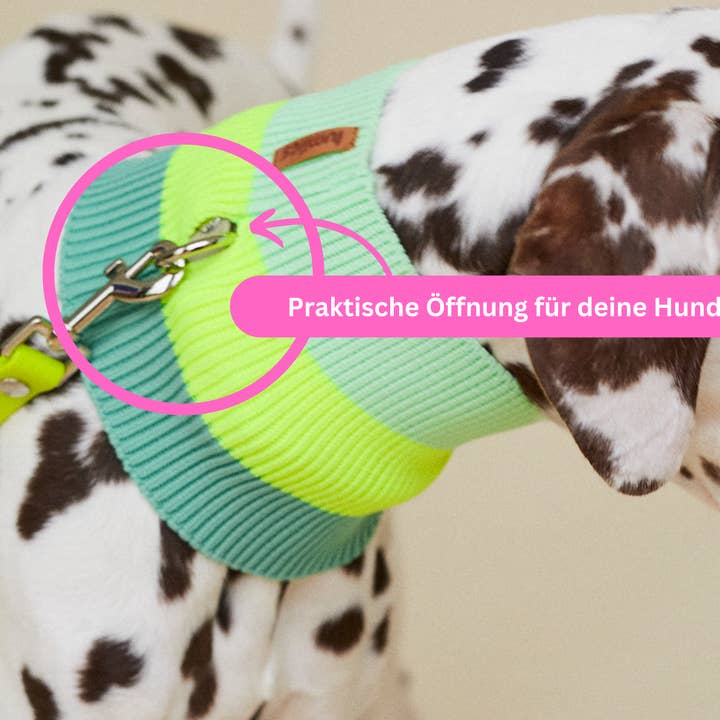 Sonnige Mandarine THE GLOW LOOP 2.0 (Sunny Tangerine) for wholesale on Faire5