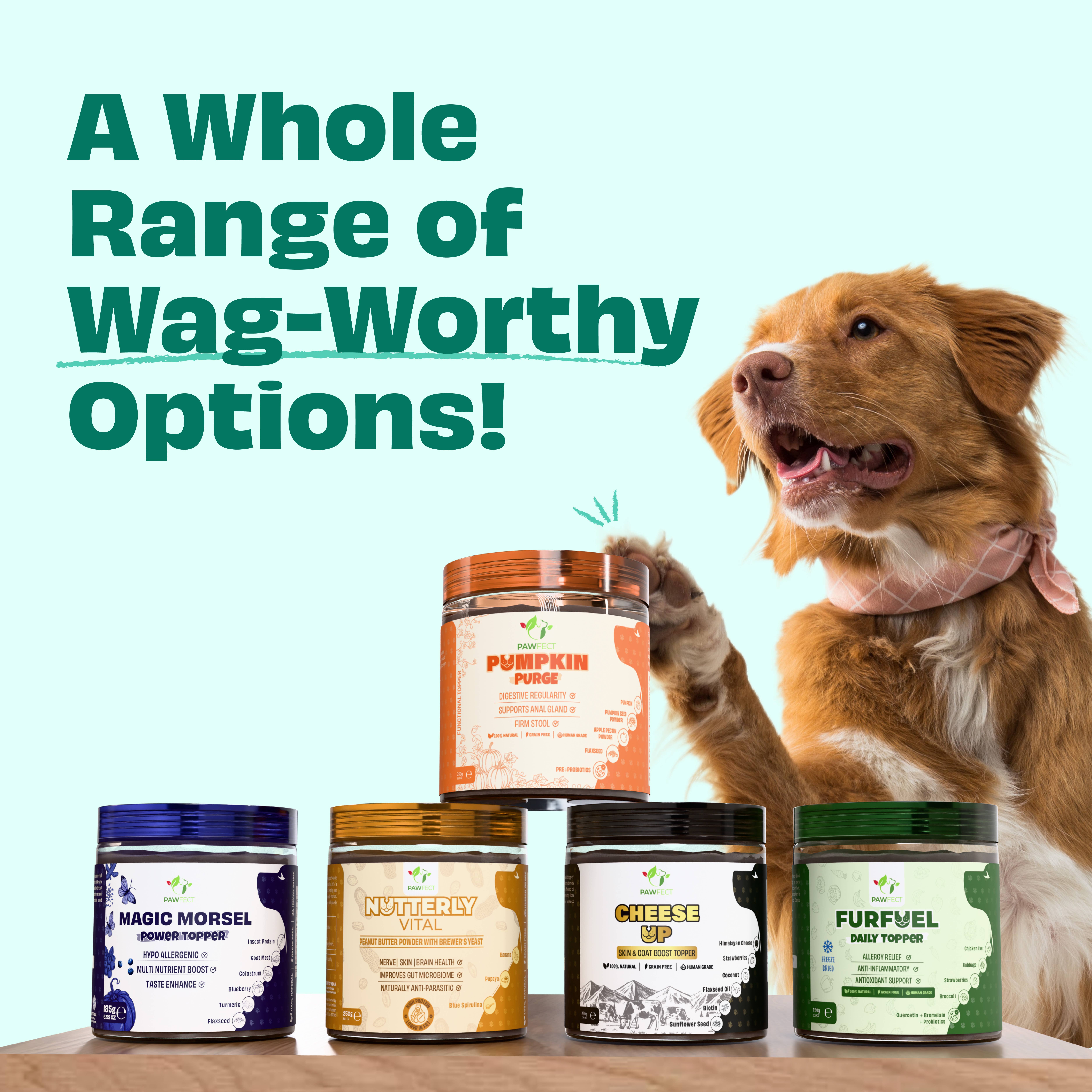 Pawfect Foods – wholesale Kosttillskott för husdjur - Hund – Pawfect Pumpkin Purge dagligt tillskott för hundar | 100 % naturligt | Berikat med äppelpektinpulver, linfrön, pre- och probiotika | Främjar matsmältning och fast avföring | Stöder analgrendränering (250 g)6