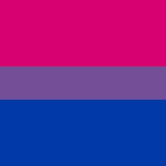 Worldwide Flags Ltd – wholesale Flag – Bi-pride (Gay Pride) 3'x2'