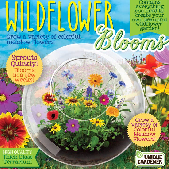 Silver Circle Products - Wholesale Terrarium - Wildflowers Glass Terrarium