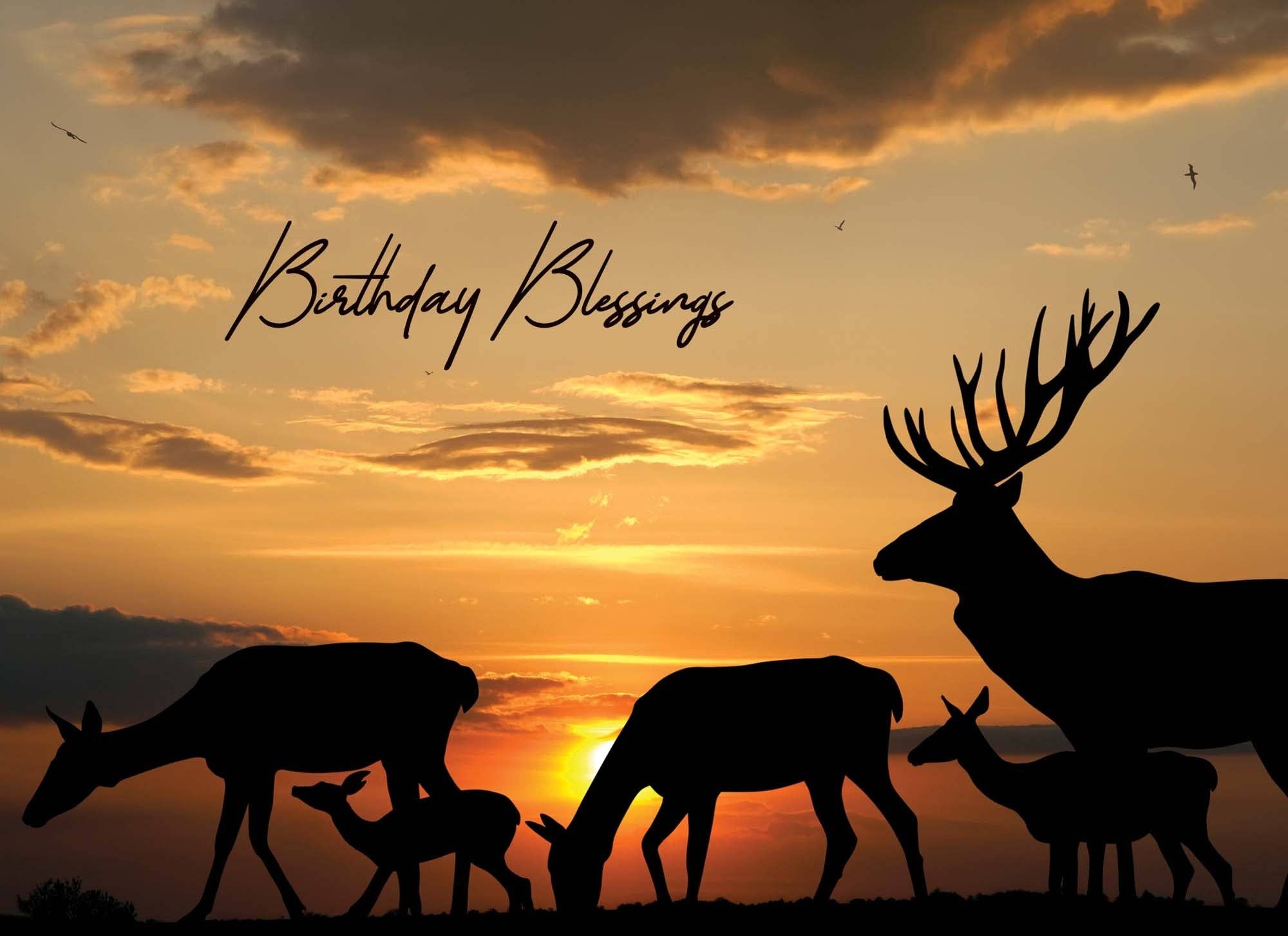 Crown Point Graphics - Wholesale Birthday Card - Celebrations -  48 Assorted Birthday Cards by Shared Blessings28