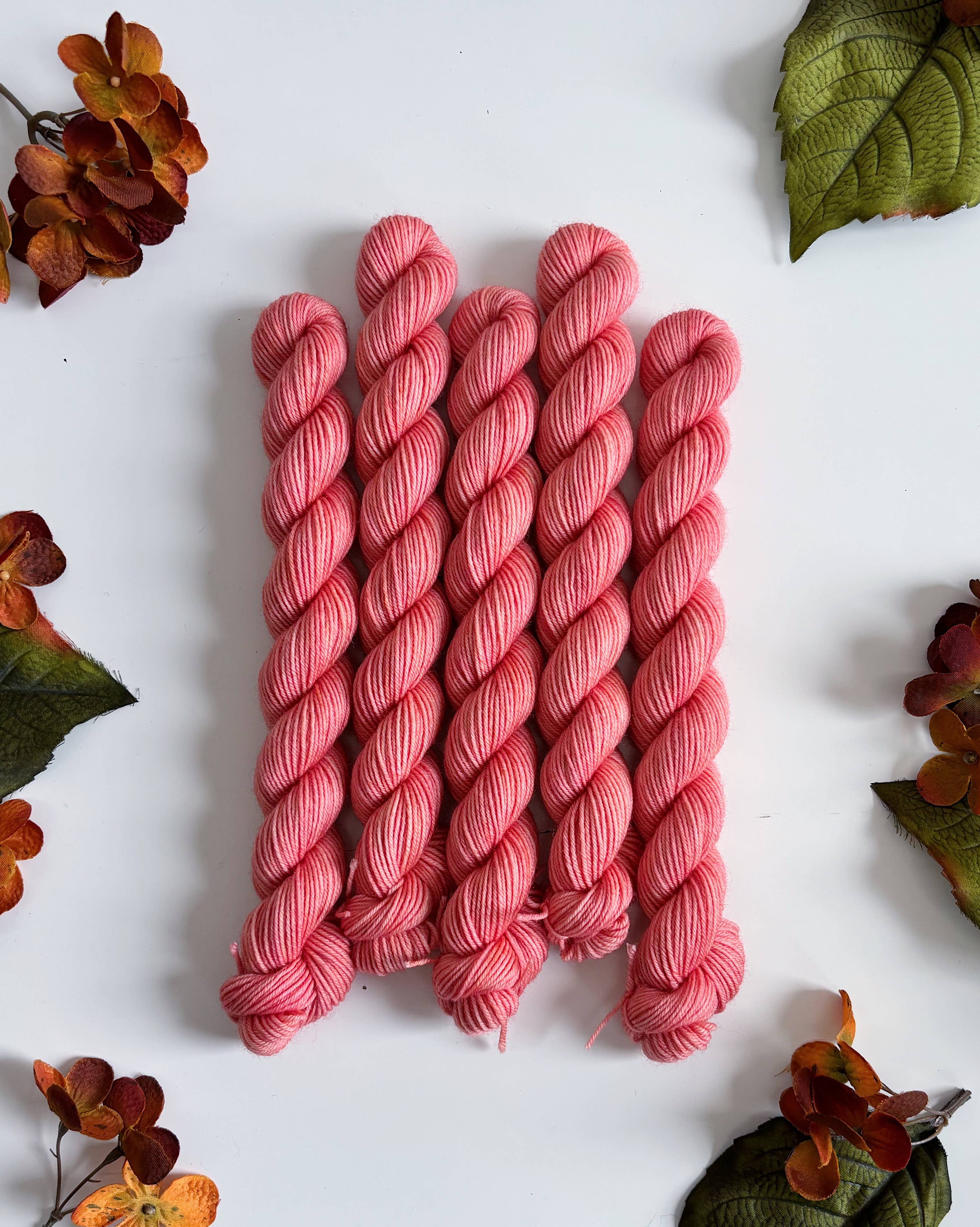 Coates & Co. - Vendita all'ingrosso Lana - Filato Cottage Sock • Mini matassina da 20 g3