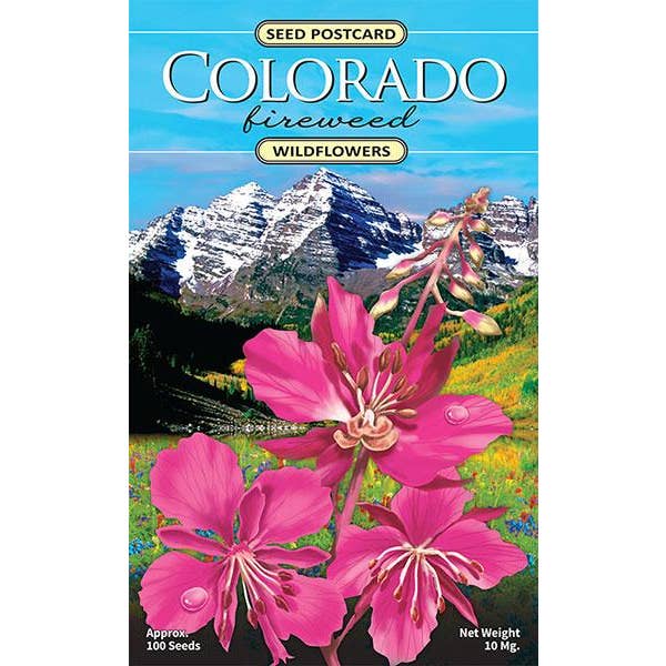 Created By Nature - Wholesale Plant Seeds - Colorado Fireweed Wildflower Seed Packet