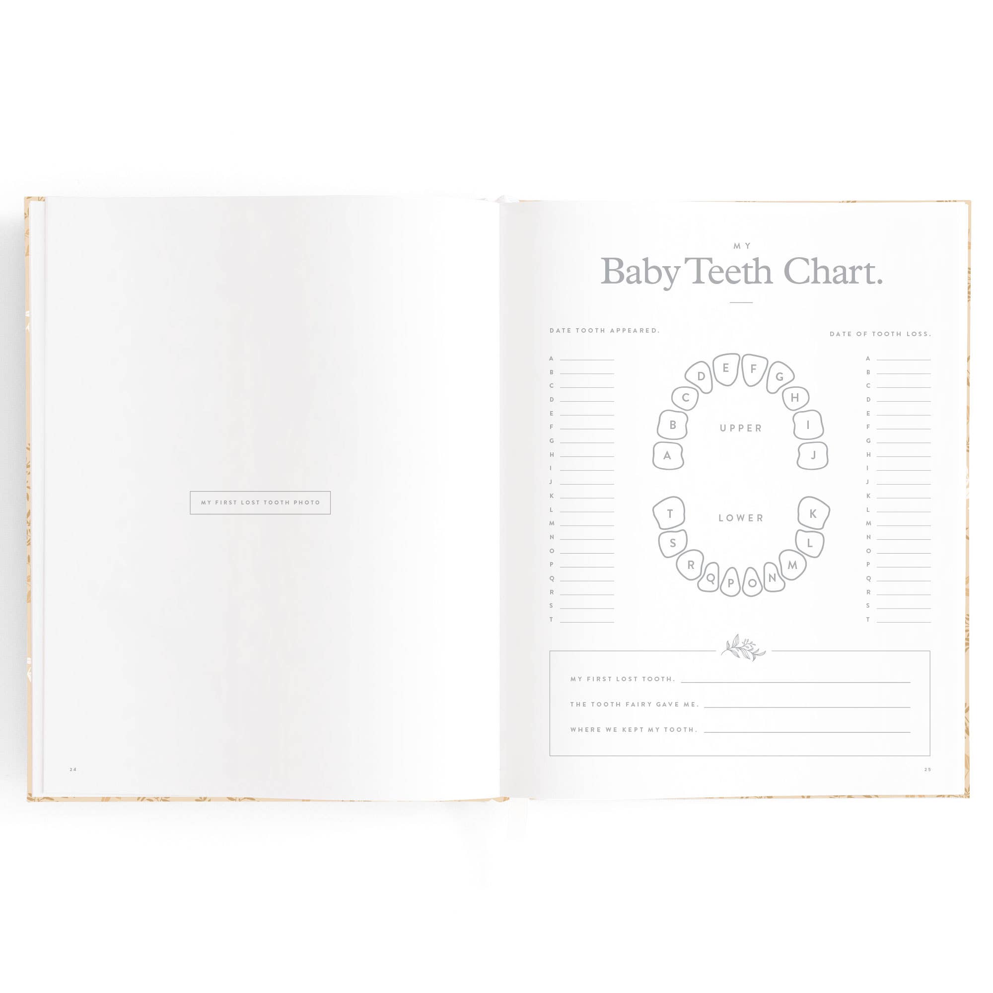 Fox & Fallow - Wholesale Memory Book - Kids & Baby - Baby Book Cedarwood19