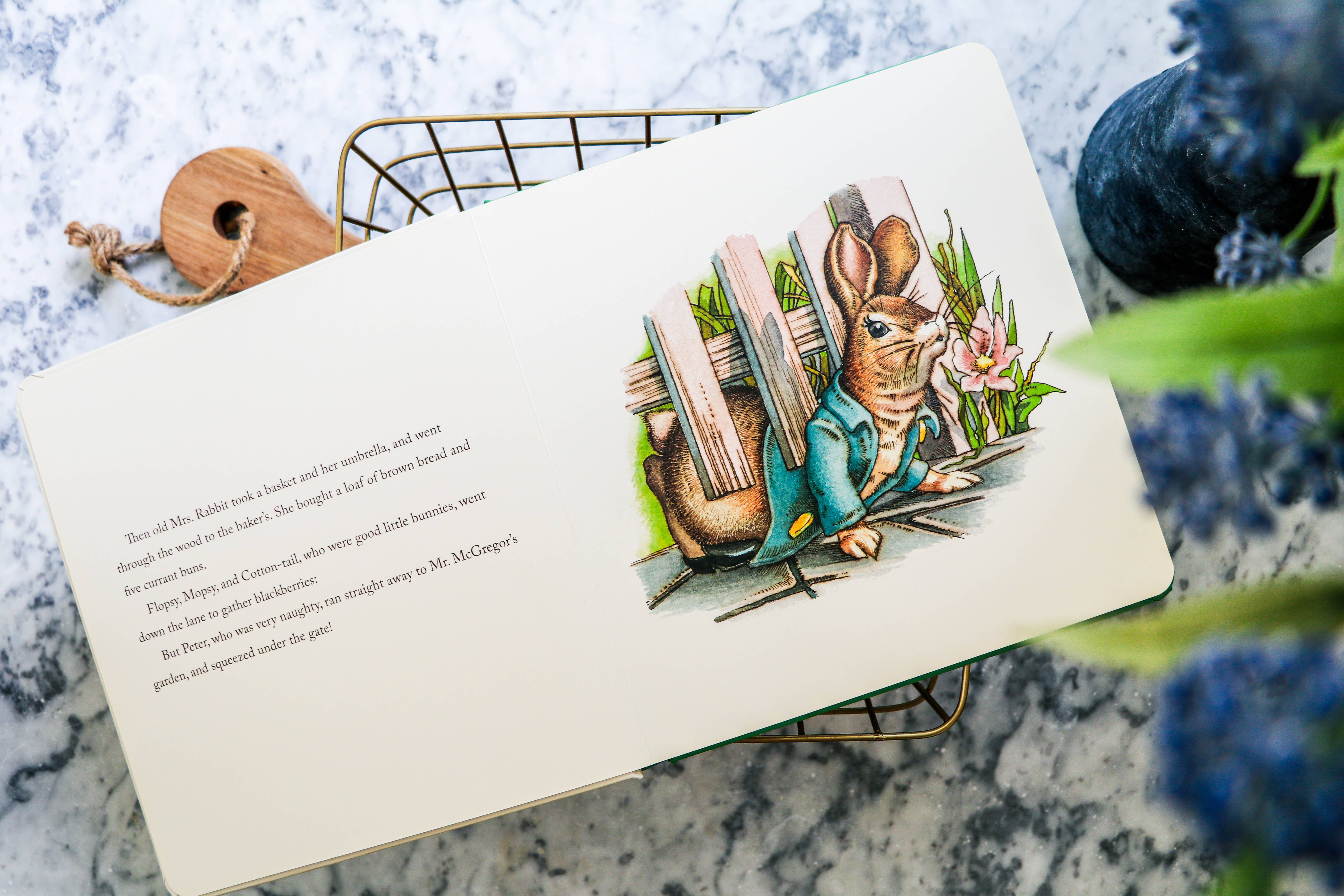 HarperCollins Focus - Wholesale Baby & Toddler Book (0-2) - The Peter Rabbit Oversized Board Book5