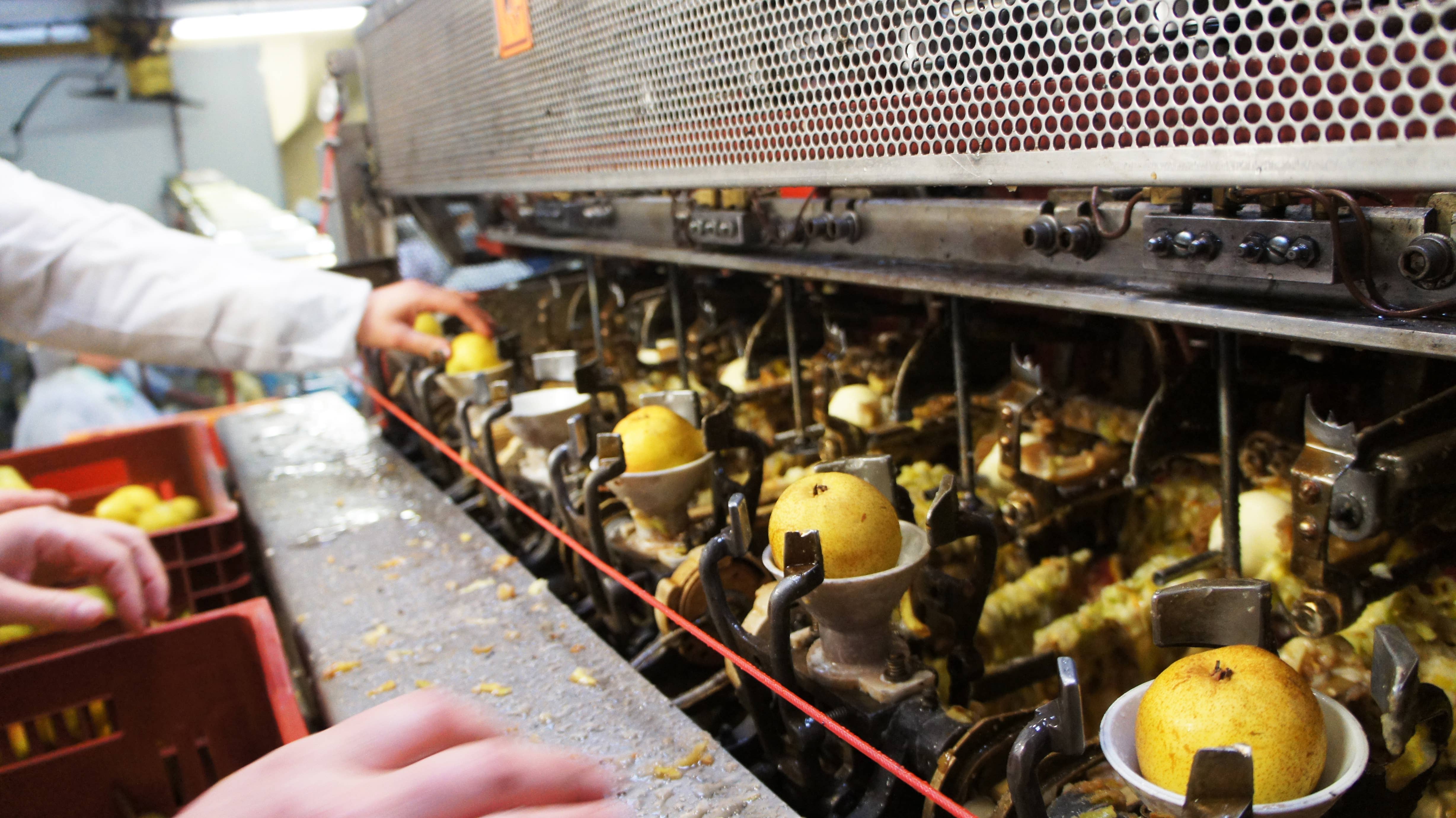 CONSERVES GUINTRAND - Wholesale Preserves - Whole Williams pears in sugar syrup PG 850 ml (jar)2