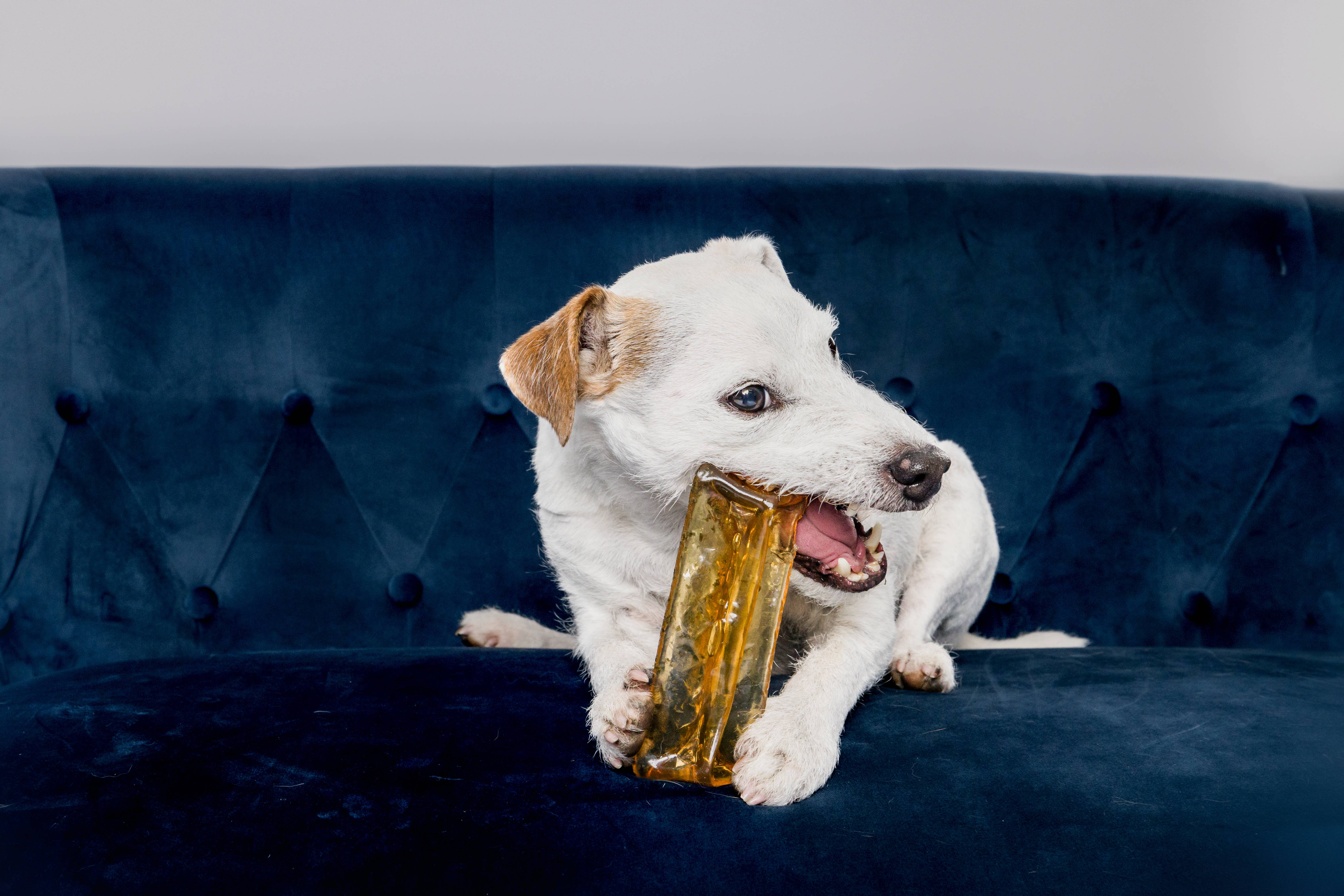 Wag & Bright Supply Co. - Vente Os à mâcher – chien - Mighty Marrows Collagen Dental Chew - Bœuf Spiruline - SM/LG10