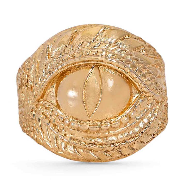 Herenring met draaksoog in sterling zilver of brons voor wholesale door Nina Designs