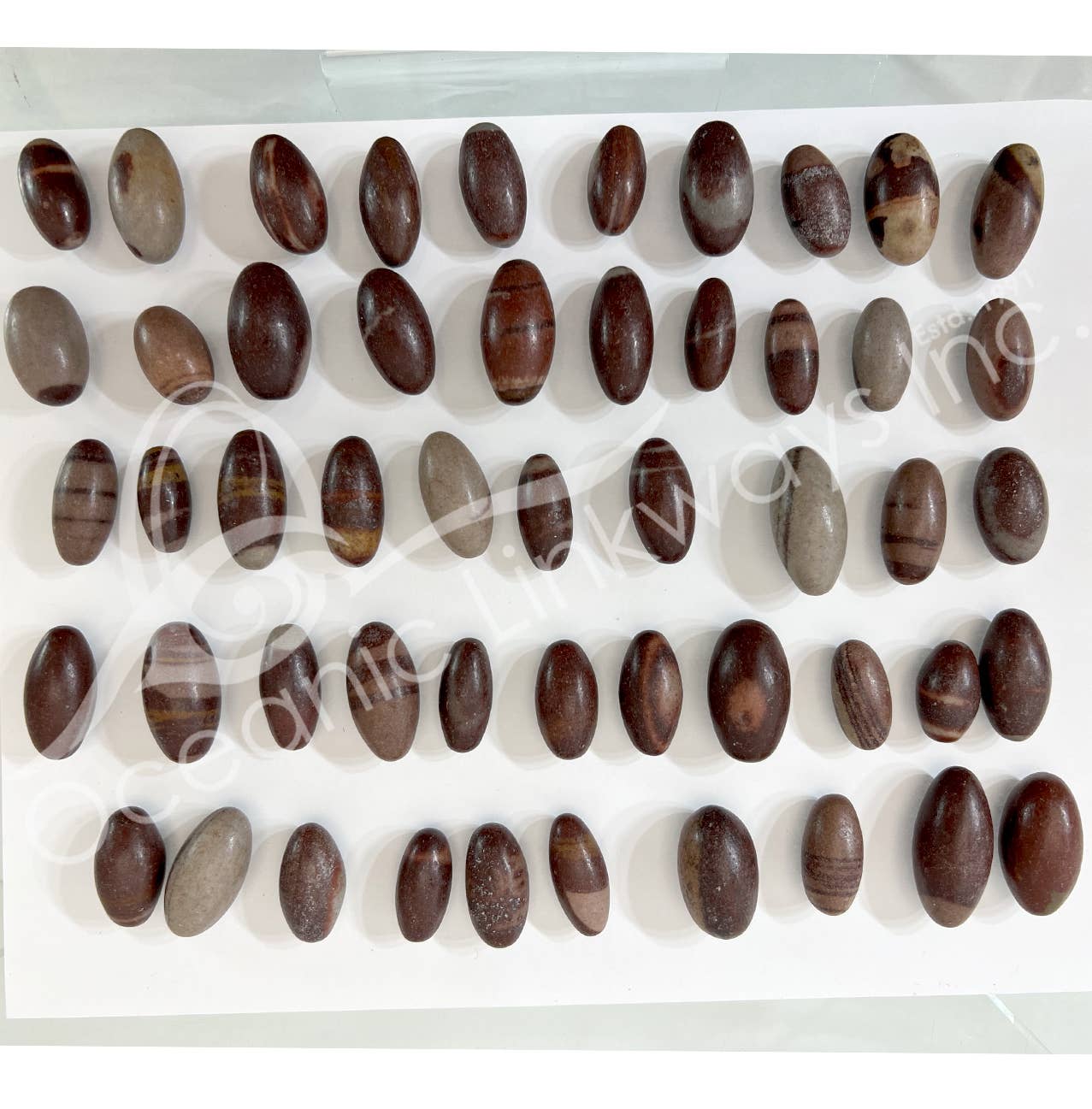 Oceanic Linkways Inc - Wholesale Spiritual Stone/Crystal - SHIVA LINGAM - 2 TONES 1"1