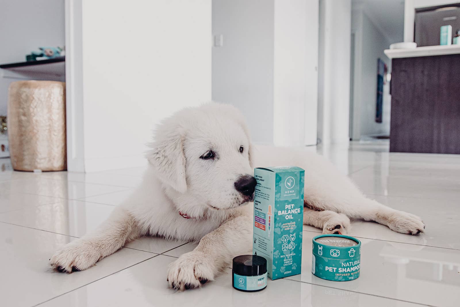 Hemp Collective - Wholesale Pet Supplement - Cat/Dog - Pet Balance Oil - Hemp/Chia Seed Oil 50ml6