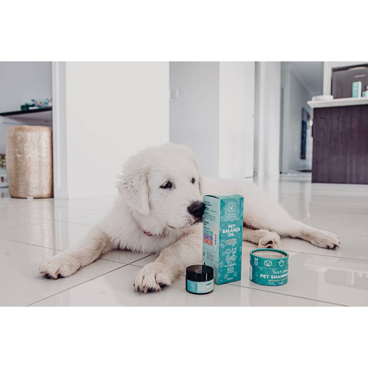 Hemp Collective - Vente Compléments alimentaires – chat et chien - Huile Pet Balance - Huile de chanvre/graines de chia 50 ml6