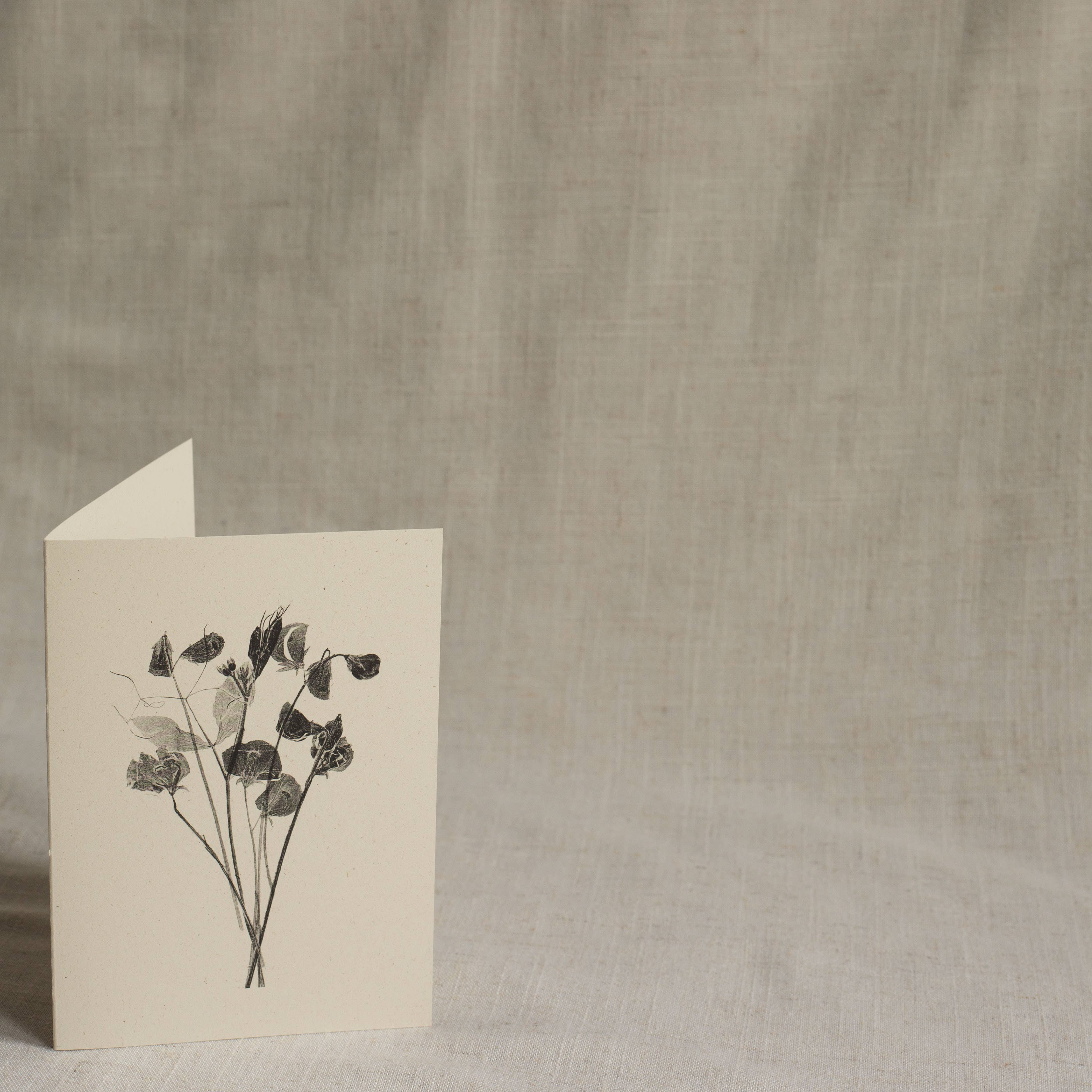 Alicia Breakspear - Wholesale Everyday Greeting Card - Sweet Peas Flower Greeting Card A6 Recycled Card 2