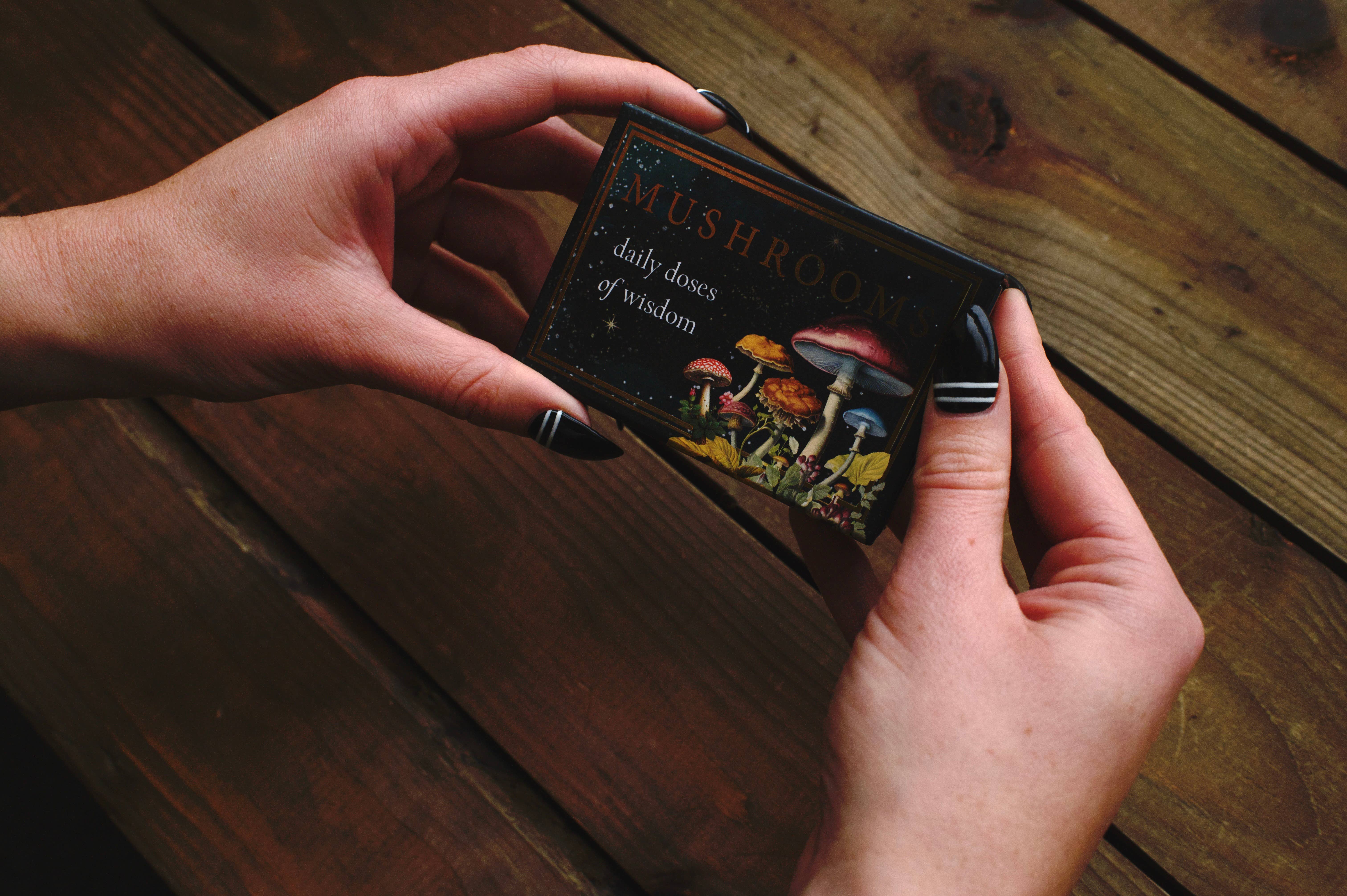 Red Wheel/Weiser LLC - Wholesale Tarot Cards - Mushrooms: Daily Doses of Wisdom (36 Gilt-Edged Mini Cards)8