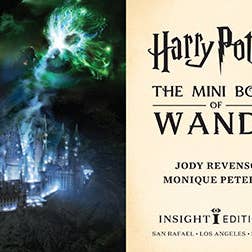 Insight Editions - Wholesale Book - Adult - Harry Potter: The Mini Book of Wands