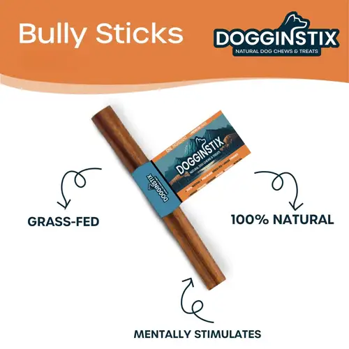 Dogginstix - Wholesale Pet Treats - Dog - 12" Jumbo Bully Sticks 6