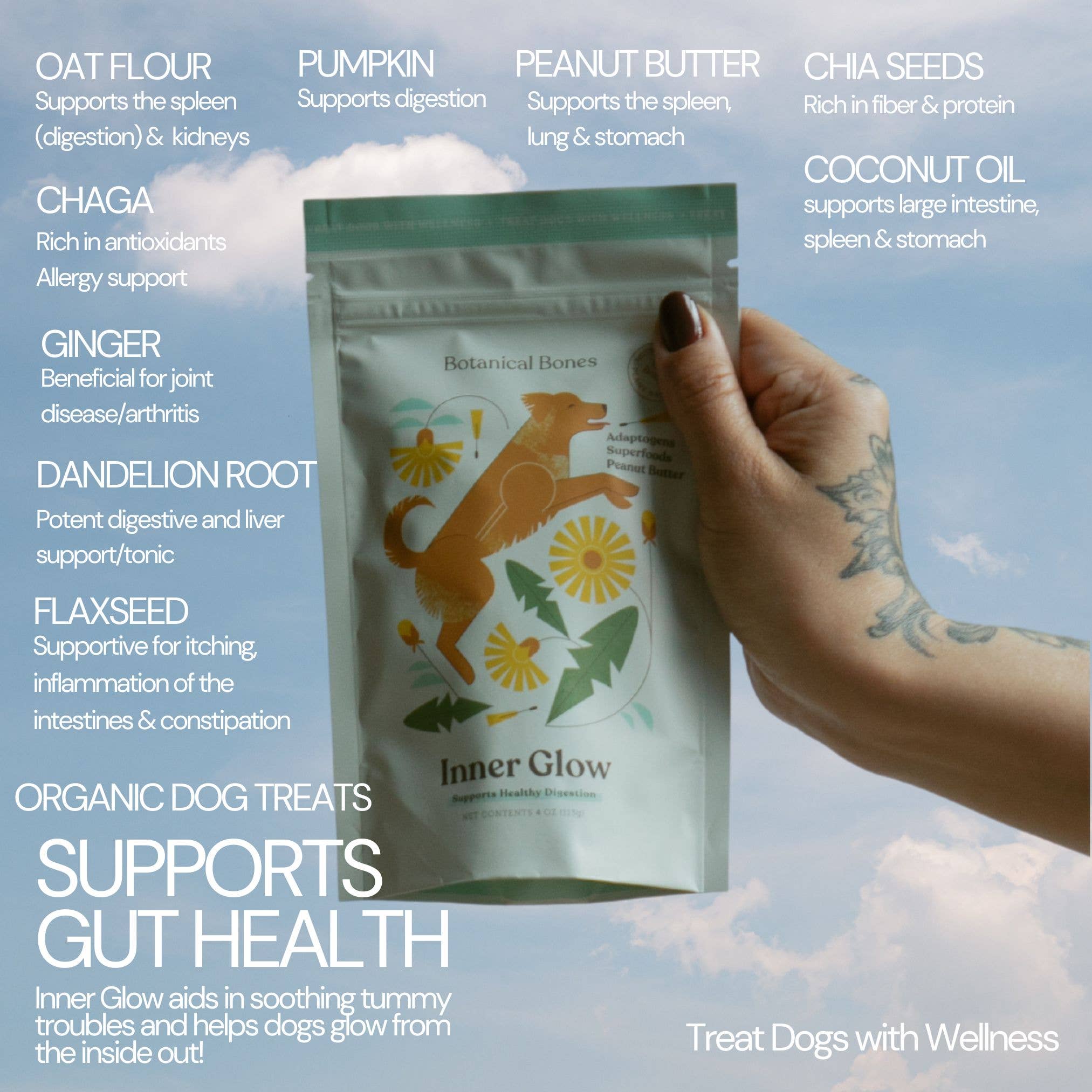 Botanical Bones - Wholesale Pet Treats - Dog - Inner Glow Cookies - All Natural, Organic Dog Treats 3