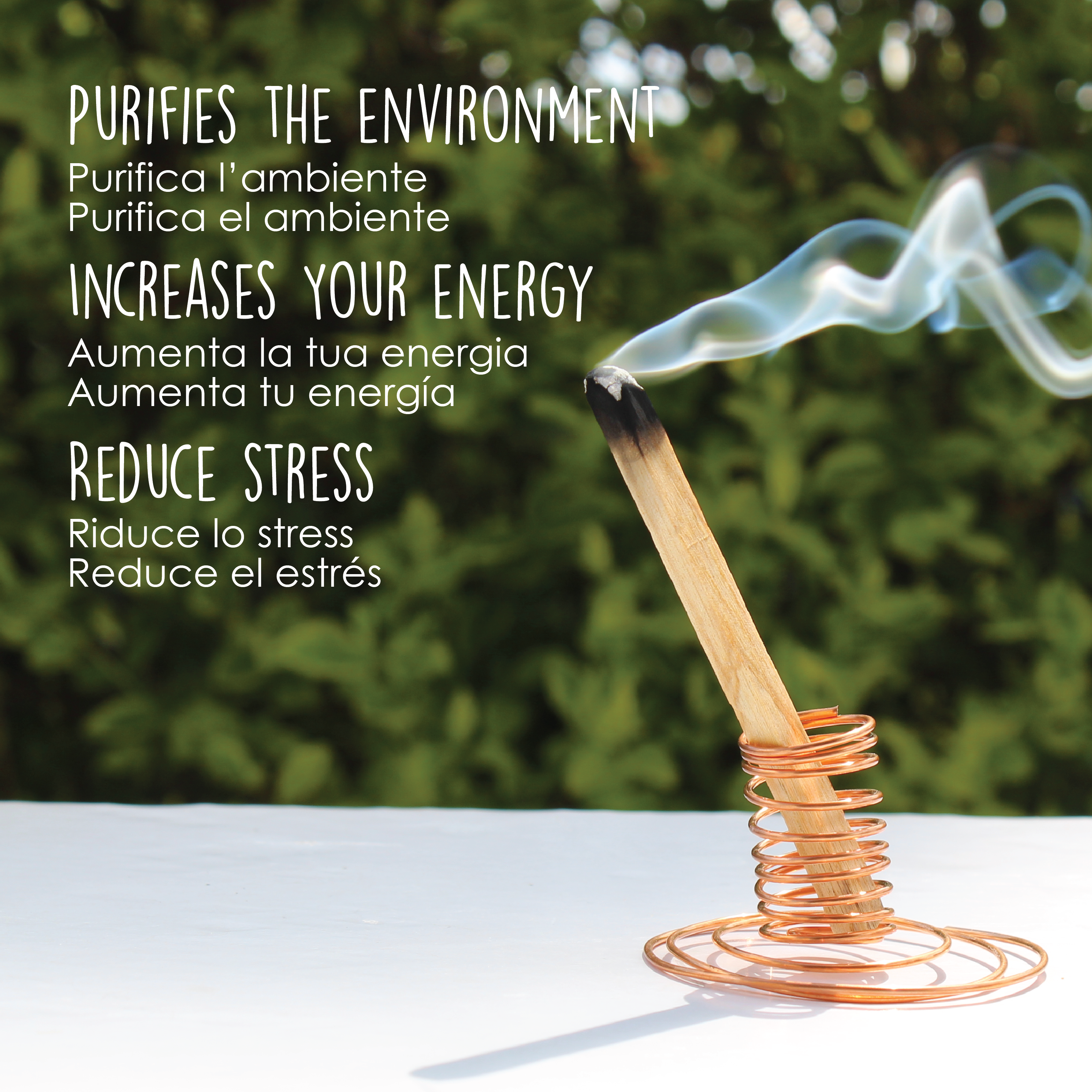 Herborea srl - Venta al por mayor Incienso - Palitos premium de Palo Santo a granel - Perú - 5 kg (11 lbs)2