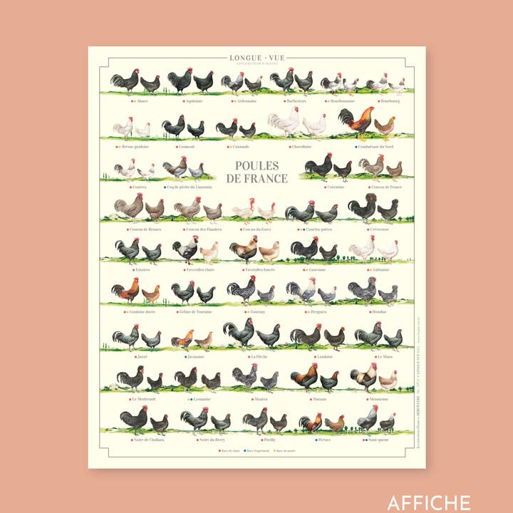 Poules de France - Affiche et autres tendances Résultats pour mes courses en vrac en vente B2B. Retours gratuits et paiement à 60 jours sur Faire sur Faire.