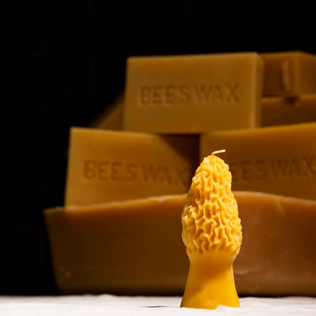 Waxing & Raining Handmade Goods - Wholesale Novelty Candle - Beeswax Morel Mushroom Candles | Beeswax Candle | Non-toxic