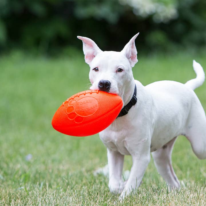 Jolly Pets Football Dog Toy for wholesale by Henry Wag