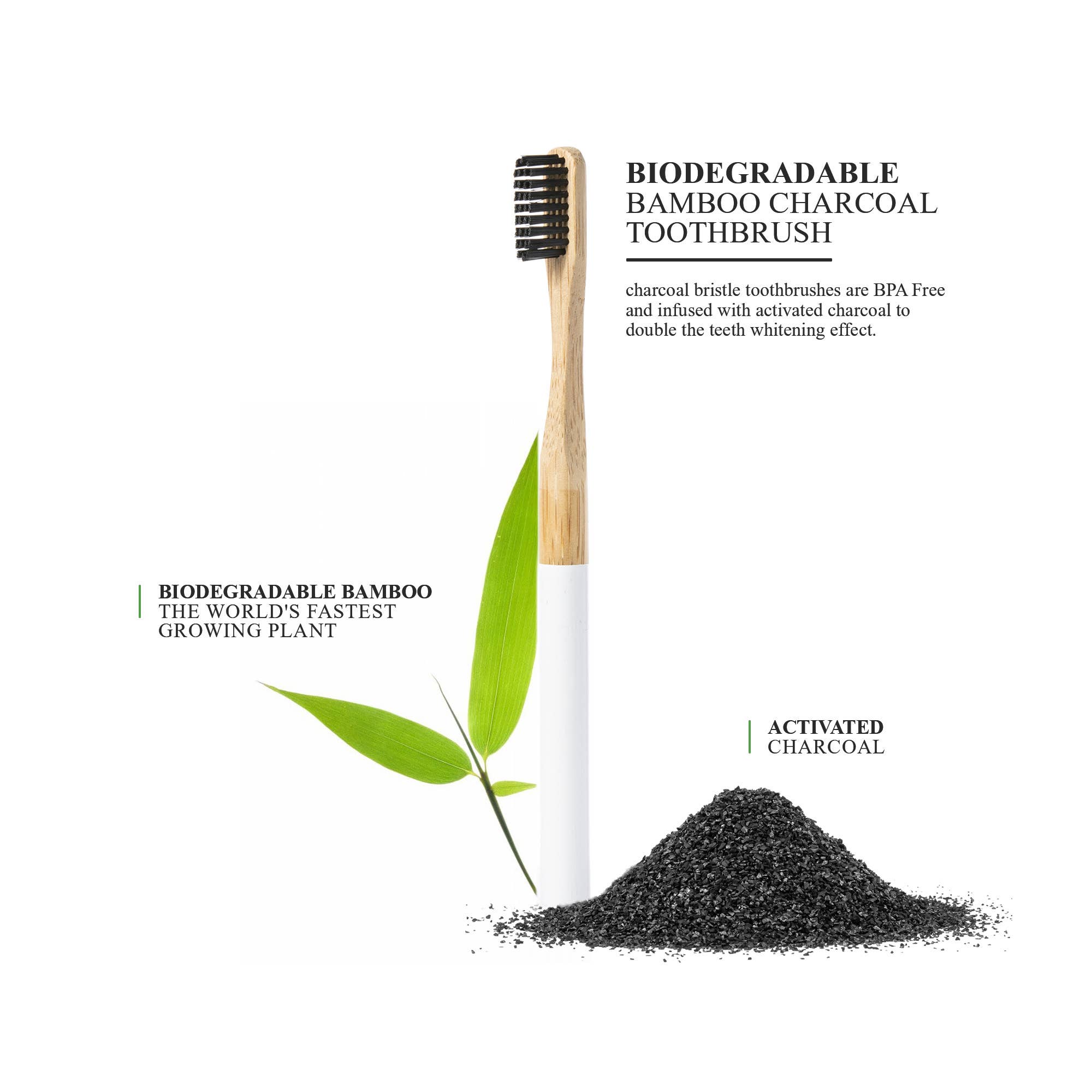 Terra & Co. - Wholesale Toothbrush - Bamboo Toothbrush with Activated charcoal2