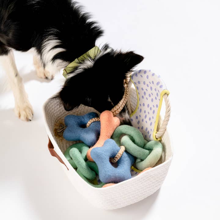 Awoo – wholesale Pet toy – Dog – Bone Felt Wool Toy - Casepack3