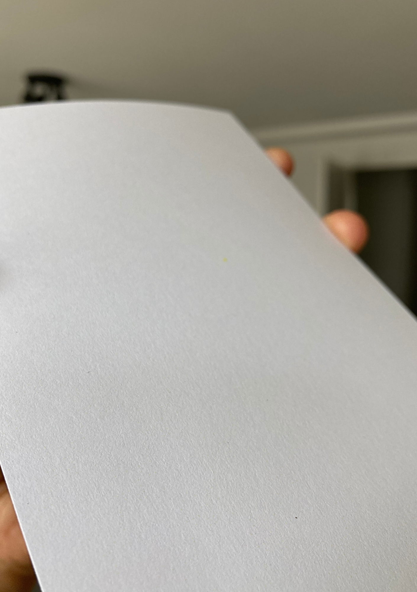 love, KAUR - Wholesale Postcard - Postcard - Success3