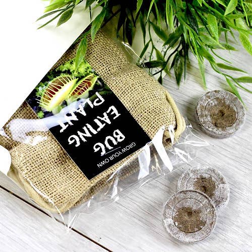 BEEcycle - Wholesale Plant Seeds - Bug Eating Plant Jute Bag Grow Set3