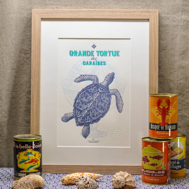 Letterpress Art Print Large Turtle from the Caribbean (sea) for wholesale by L'Atelier Letterpress