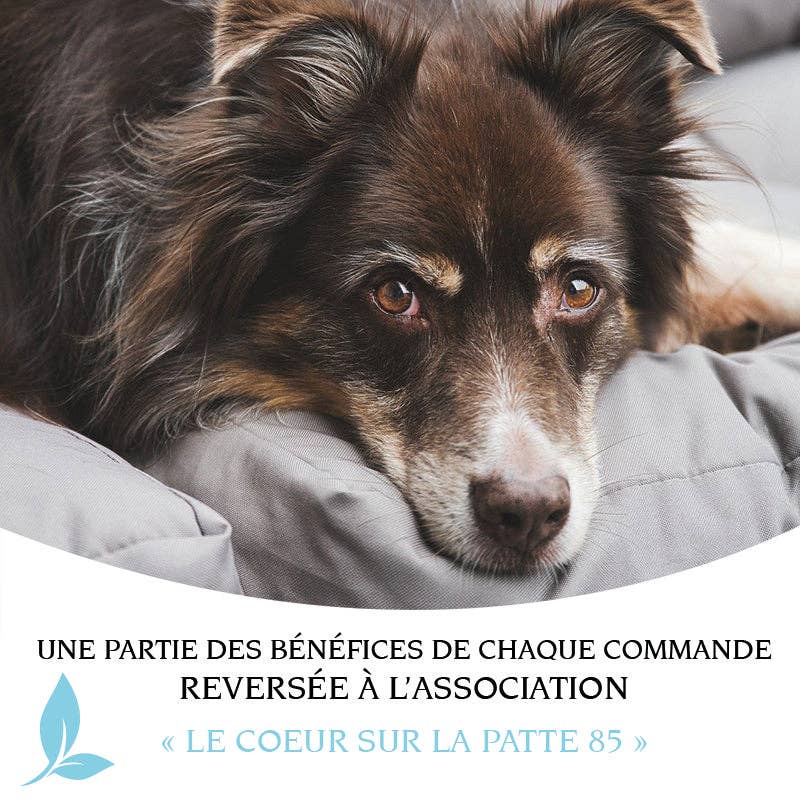 Oria & Co - Wholesale Pet Chew Toy - Dog - Chew ball3