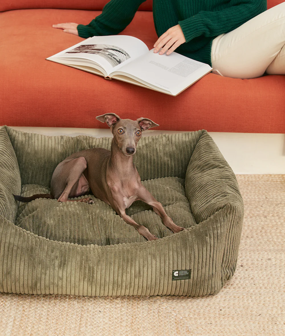 CAFIDE - Wholesale Pet Bed - Dog - Green Corduroy Dog Bed, Snozy8