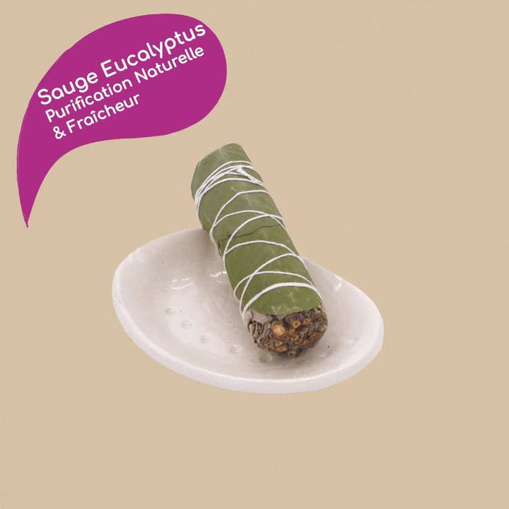 Veegreen - Wholesale Smudge Stick - White Sage Eucalyptus Bulk1