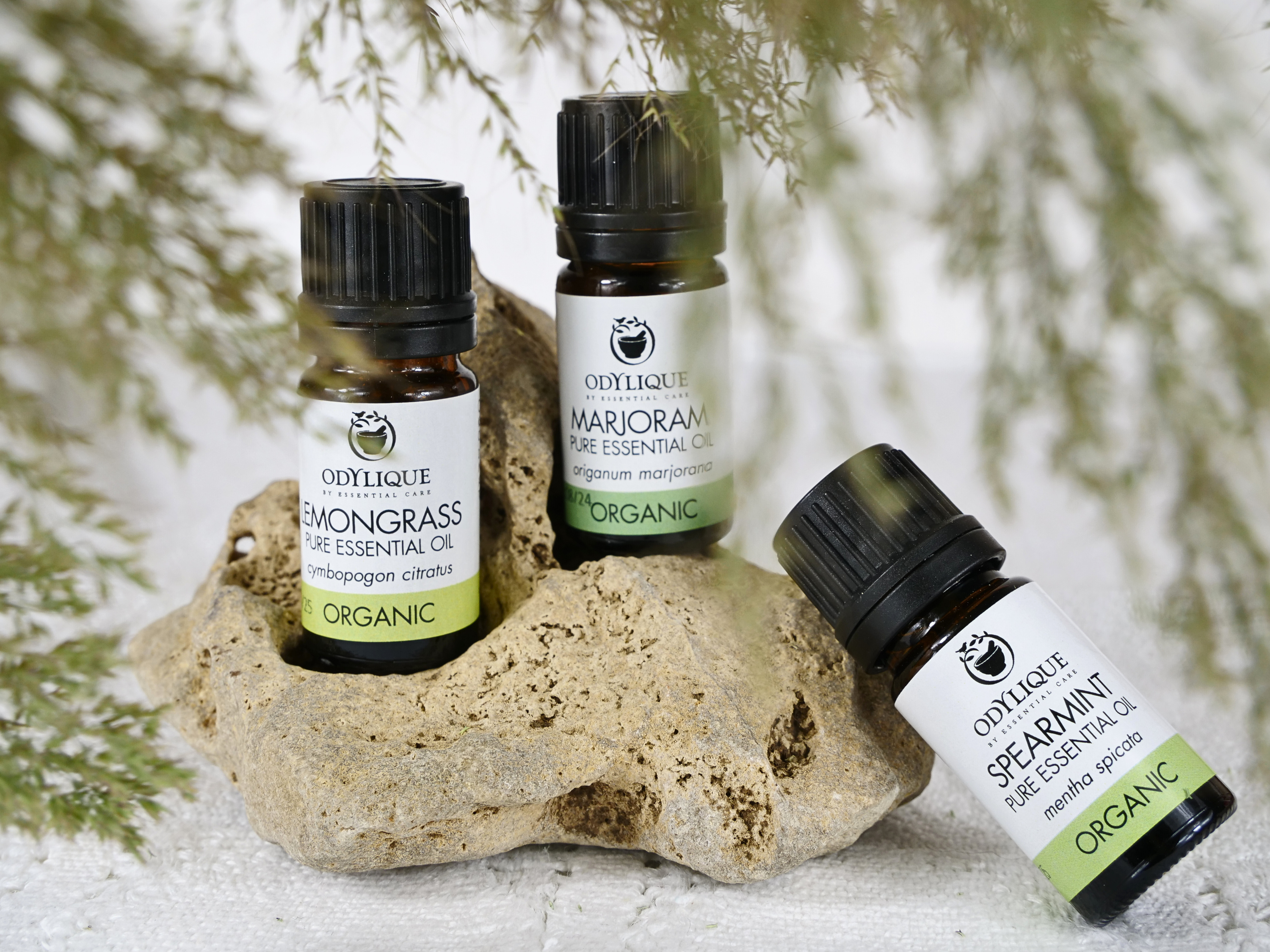 Odylique – wholesale Essential oil – Organic Essential Oils25